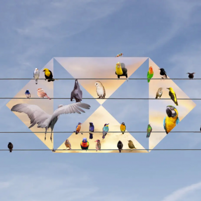 200110-valuing-diversity-1600×400 200110-valuing-diversity-1600x400